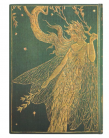 Paperblanks diář 18měsíční 2023-2024 Olive Fairy midi horizontální DE9490-6